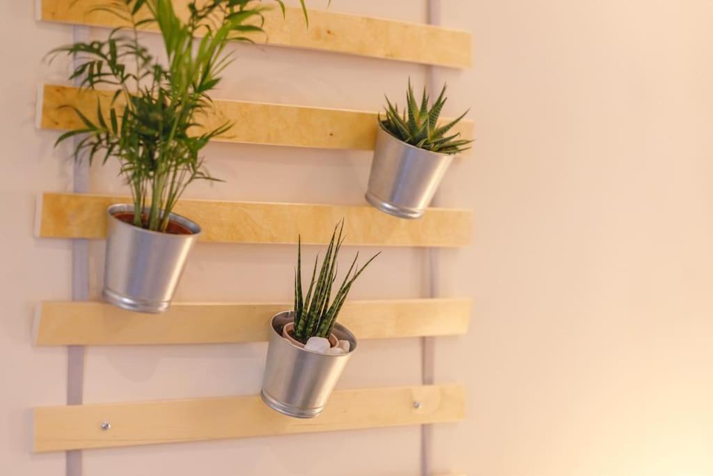 My Love Nest ماكاتييو سورْ شالارْ المظهر الخارجي الصورة
